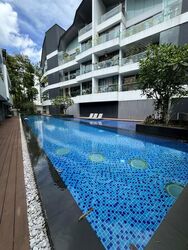 The Holland Collection (D10), Apartment #501649461